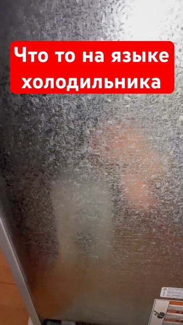 Холодильник разговаривает звуками? #работавсша #всша