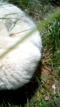 Кошко+май,терлцнссы_20250512_113229