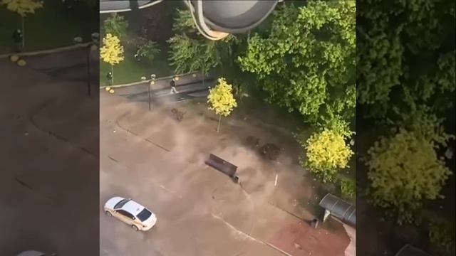 💦Трубу с кипятком прорвало на Павла Андреева — горячей водой залило газон, скамейки, дорогу💦