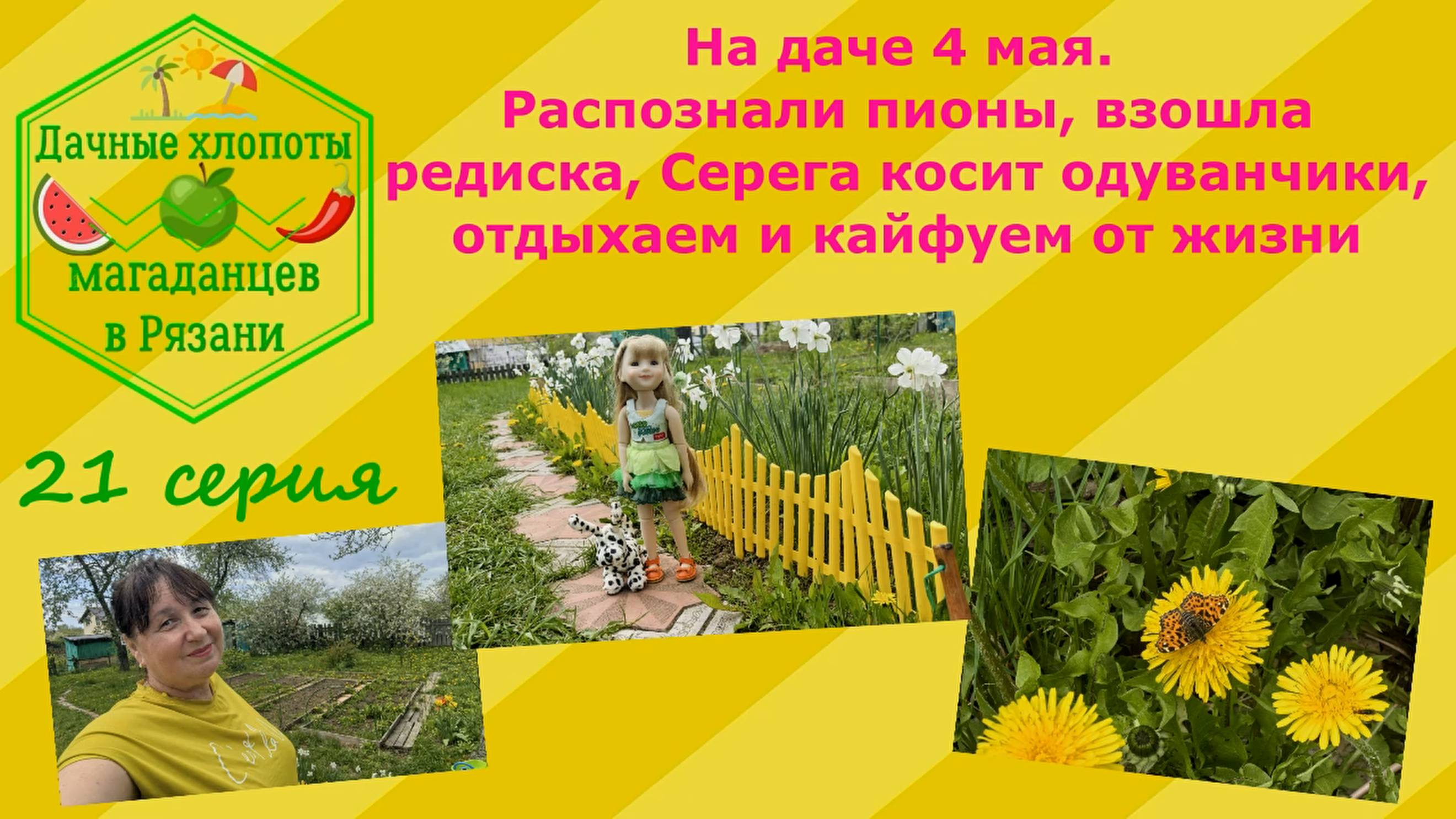 На даче 4 мая. Распознали пионы, взошла редиска,Серега косит одуванчики,отдыхаем и кайфуем от жизни