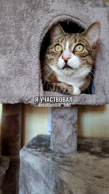 Ну и где ты был?🤨