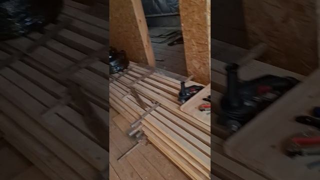 1000023533.mp4 (Собака смотрит на электроснабжение нового дома А-фрейм)