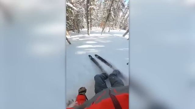 НЕВЕРОЯТНЫЕ_МОМЕНТЫ,_СНЯТЫЕ_НА_КАМЕРУ