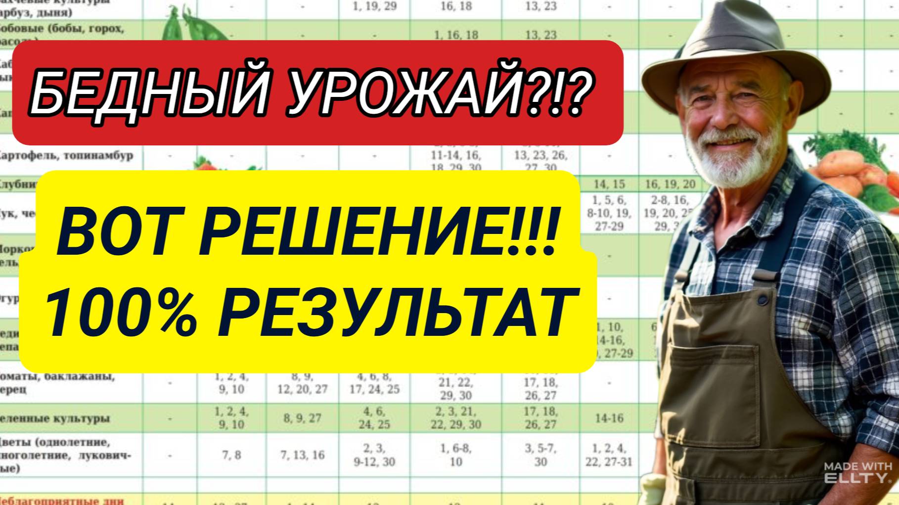 ВАШИ ЦВЕТЫ ГИБНУТ? ВОТ СКРЫТАЯ ПРИЧИНА, О КОТОРОЙ НИКТО НЕ ГОВОРИТ!