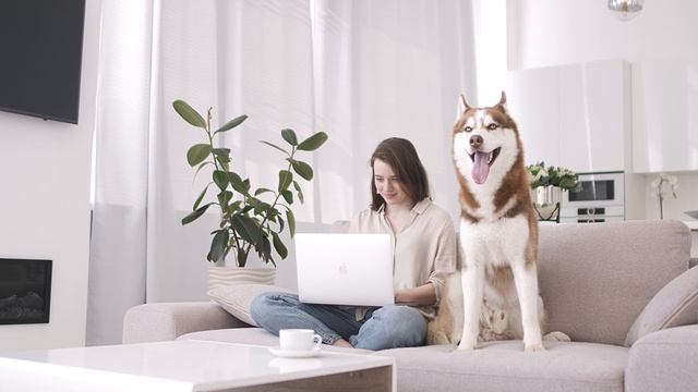 4685836-uhd_4096_2160_30fps