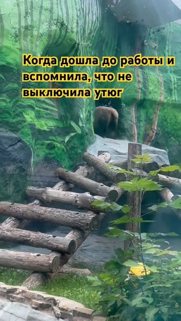 Некоторые фотографируют бытовую технику перед выходо