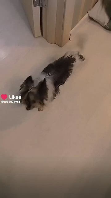 ещё видео🤩