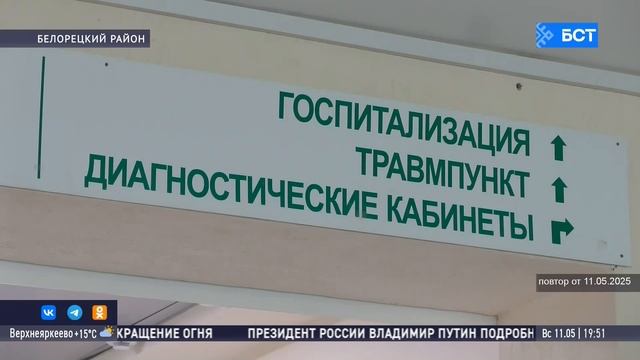 В Башкирии участились нападения медведей: как не стать жертвой хищника