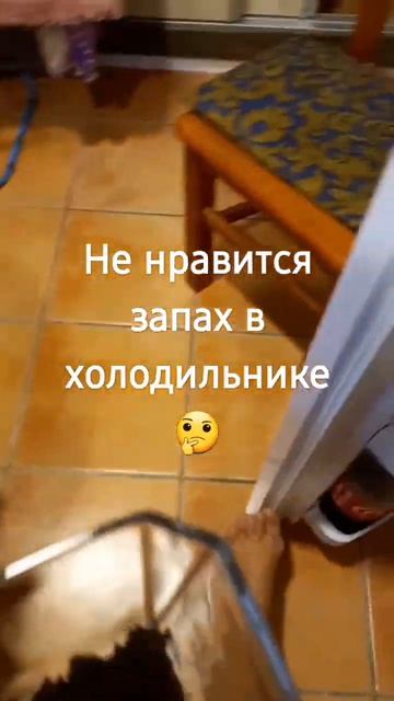 не нравится запах из холодильника????поможет КОФЕ