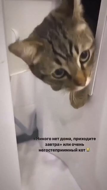 Никого нет дома!