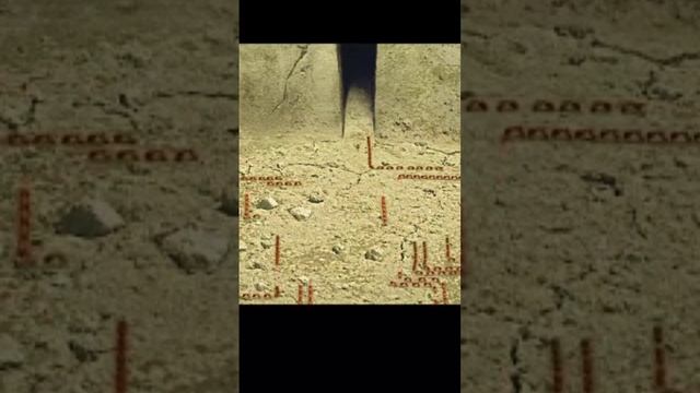 Нашествие муравьев-Прикольный мульт