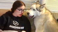 Когда твоя собака может читать твои мысли 🤣 Смешная собака и ее хозяин