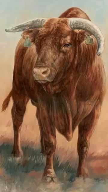 Бык в 2025 Году - Его Ждет УСПЕХ! #Shorts