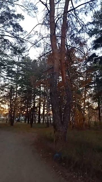1010895700.mp4