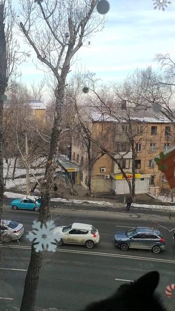 #almaty погода 16 января