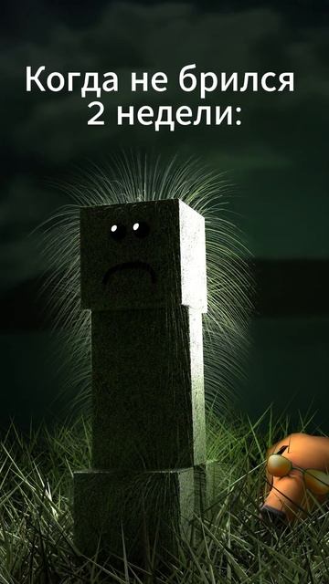 когда не брил.....  #edit #memes #roblox #blender