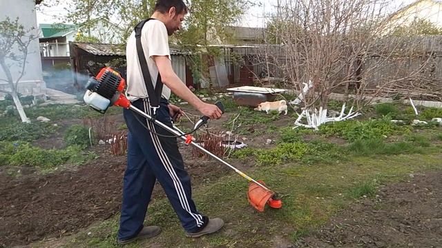 Павел Алексеевич завёл свою шарманку.