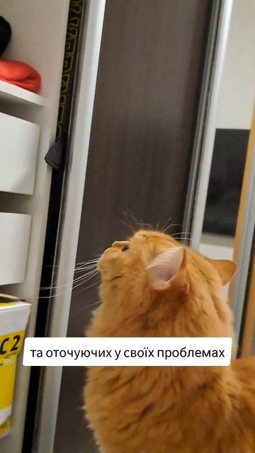 Фен-Шуй