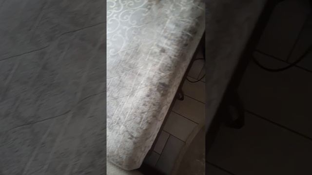 Моющий пылесос Kraft&Dale