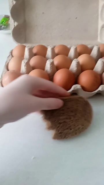 КОНЕЧНО КУРА ГРИЛЬ