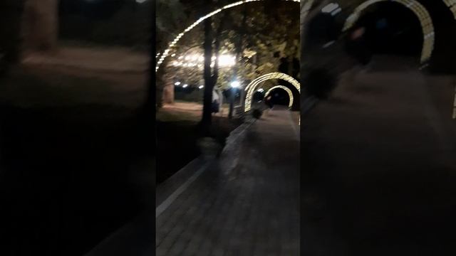 20240917_201812.mp4