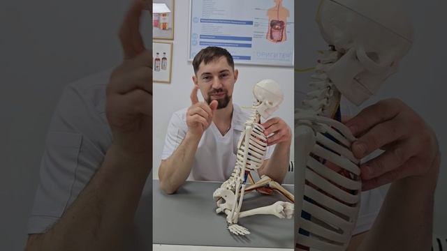 Болит и затекает шея, шейный остеохондроз как убрать б