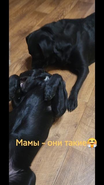 Мира и детки