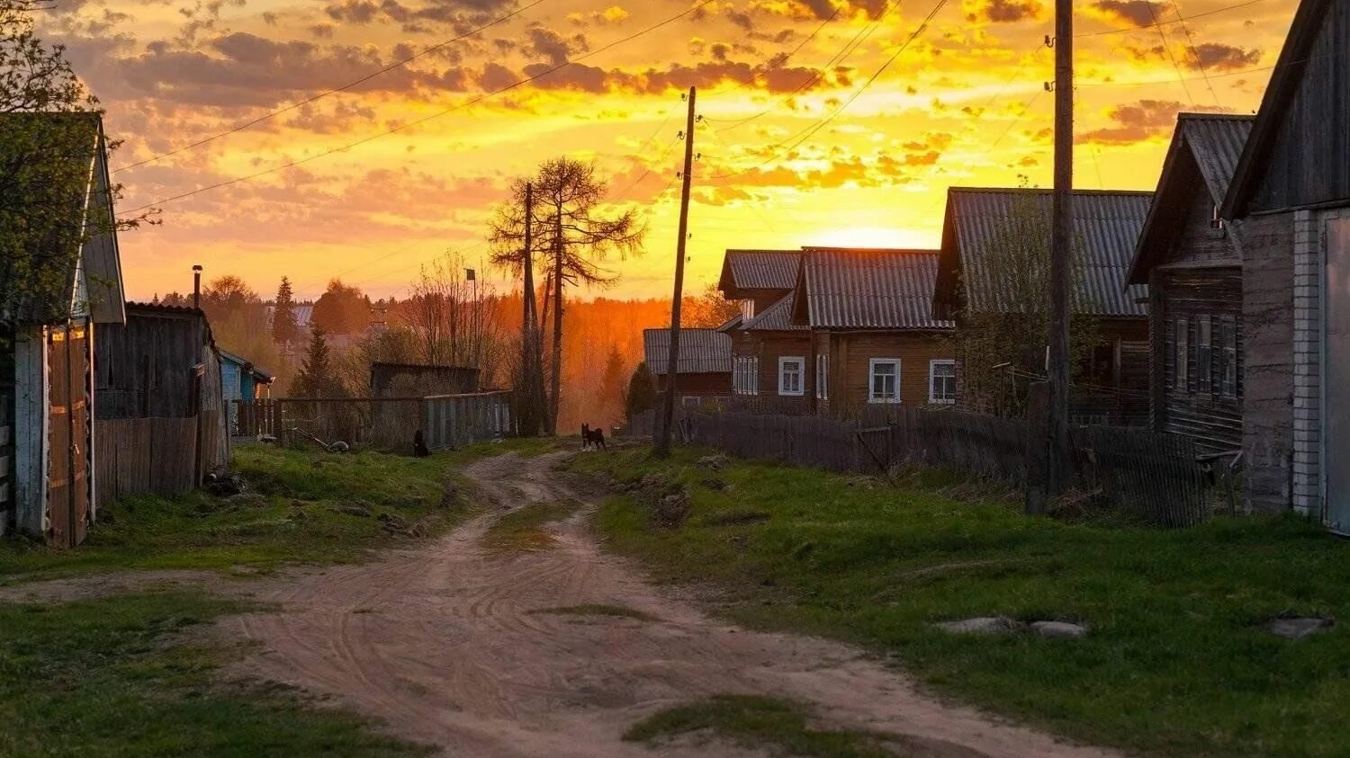 Лесной монстр. Страшные. Мистические. Творческие истории.