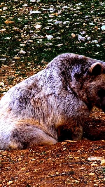 Мгновения, которые невозможно повторить