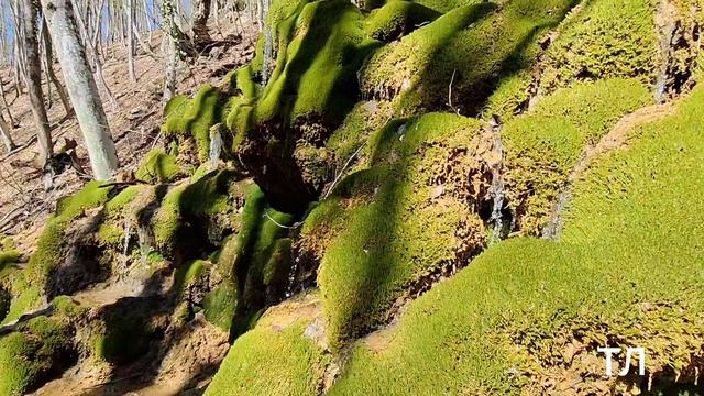 Каньон реки БОССА
Байдарская долина, КРЫМ, апрель2024г