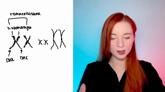 ВСЯ теория задания №3 для ЕГЭ по биологии за 10 минут | Умскул