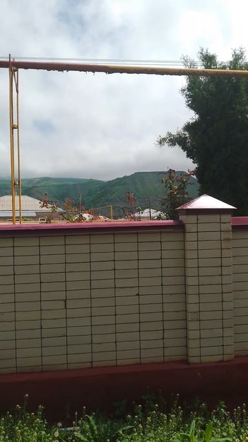 Яшка цыган с кириешкой