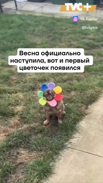 1000977834.mp4