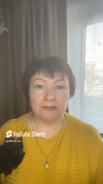 РетроПлутон для Стрельцов с 4 мая по 14 октября