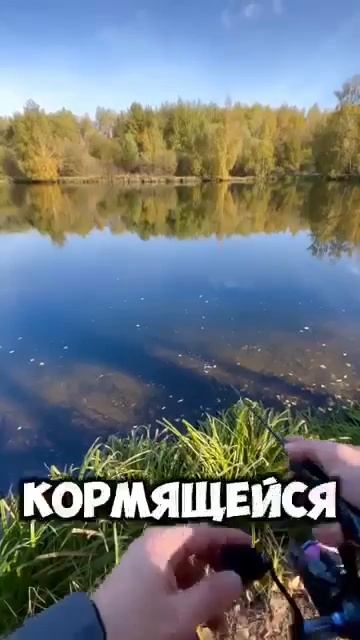Интересная джиг проводка на окуня!