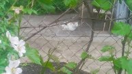 VID_20250512_103649