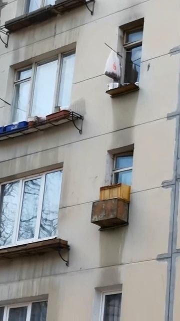русский холодильник)