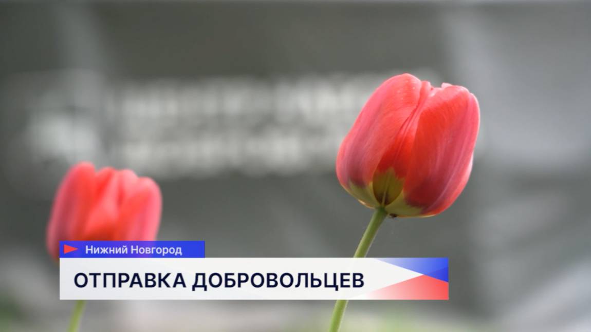 Добровольцы из Нижнего Новгорода начали подготовку к службе в зоне СВО.