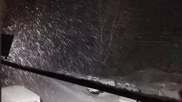 Снегопад. 17.12.2024