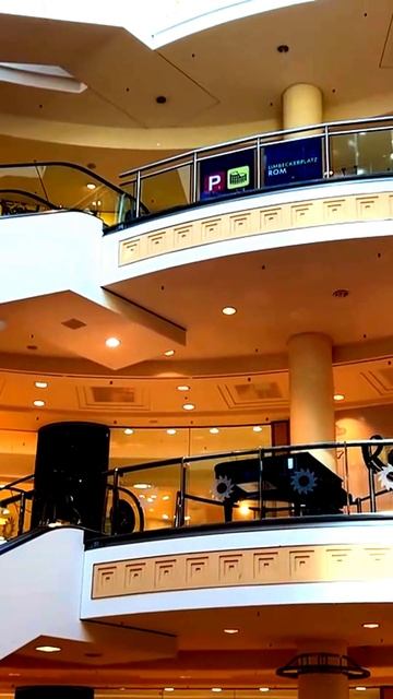 Камера сняла неожиданную реакцию