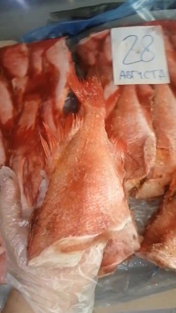 КРАСНЫЙ ОКУНЬ