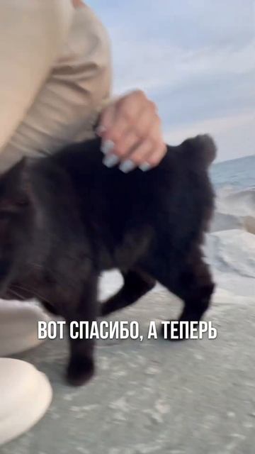 🤣Бесплатный массаж для айтишника😻 #массаж #мем #прик