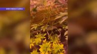 хранение наркотиков