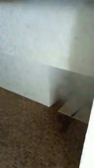 парогенератор пусконаладка