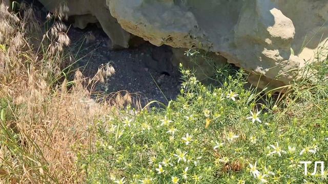 ПЕЩЕРНЫЙ ГОРОД БАКЛА
Бахчисарайский район, Крым, ИЮНЬ 2024г