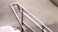 Заяц у комплекса Орбита во Владимире