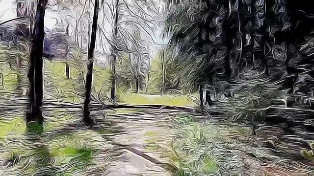 Лес ужасов!!! Или последний кадр!