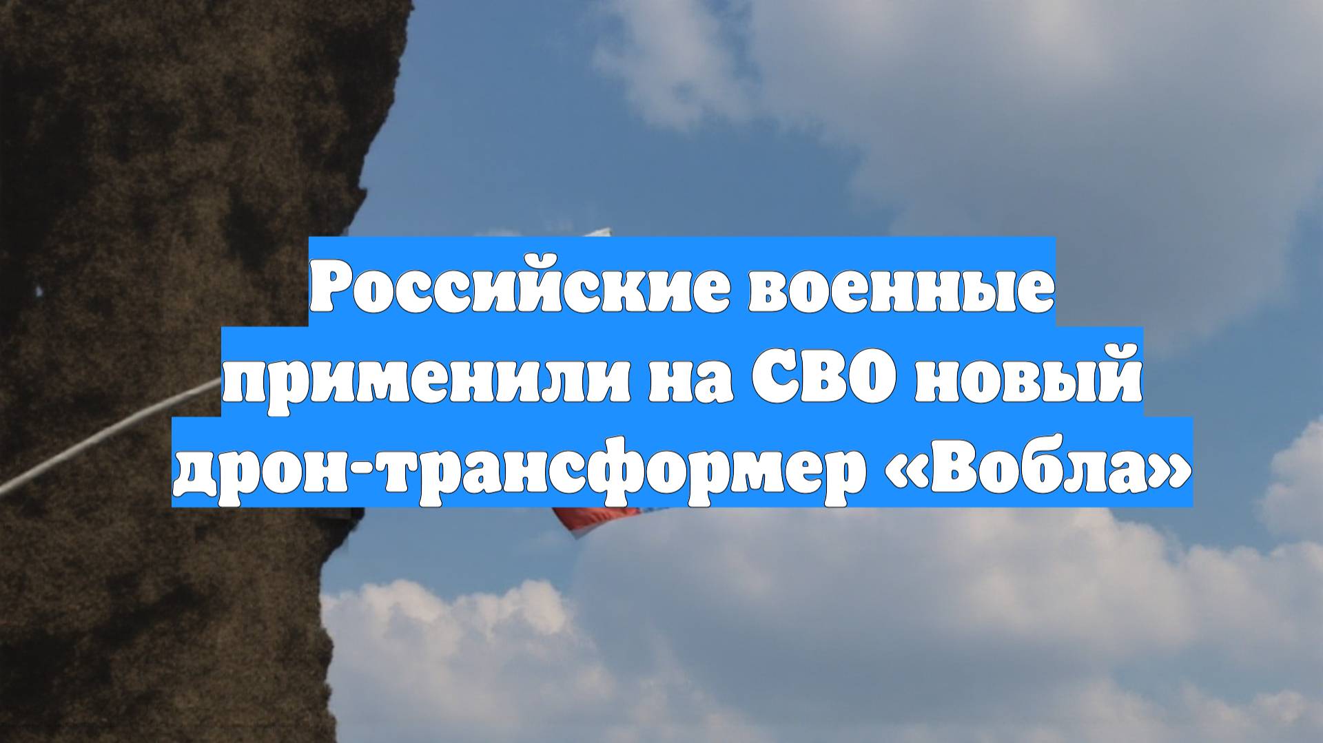 Российские военные применили на СВО новый дрон-трансформер «Вобла»