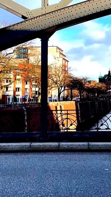 В объективе