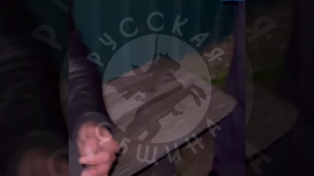 VID_20250512_101818_569.mp4